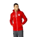 Pánska mikina adidas FC Bayern Mníchov 3S Zip AP1648