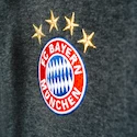 Pánska mikina adidas FC Bayern Mníchov 3S Zip AP1649