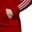 Pánska mikina s kapucňou adidas 3-Stripes FC Bayern Mníchov červená