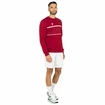 Pánska mikina Tecnifibre  Club Sweater Cardinal