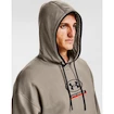 Pánska mikina Under Armour