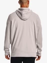 Pánska mikina Under Armour  Fleece FZ Hoodie-GRY
