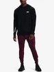 Pánska mikina Under Armour  TERRY HOODIE-BLK