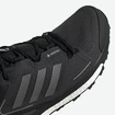 Pánska obuv adidas  Terrex Skychaser 2 GTX Black