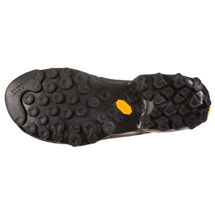 Pánska outdoorová obuv La Sportiva  TX 4 Carbon/Flame