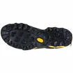 Pánska outdoorová obuv La Sportiva  TX 5 Low GTX Carbon/Yellow