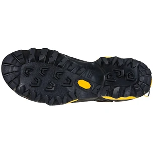 Pánska outdoorová obuv La Sportiva  TX 5 Low GTX Carbon/Yellow