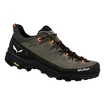 Pánska outdoorová obuv Salewa  Alp Trainer 2 Bungee Cord/Black