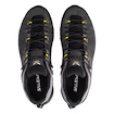 Pánska outdoorová obuv Salewa  ALP Trainer 2 Gtx M Onyx/Black