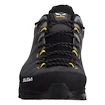 Pánska outdoorová obuv Salewa  ALP Trainer 2 Gtx M Onyx/Black