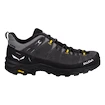 Pánska outdoorová obuv Salewa  ALP Trainer 2 Gtx M Onyx/Black