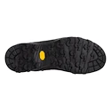 Pánska outdoorová obuv Salewa  ALP Trainer 2 Gtx M Onyx/Black