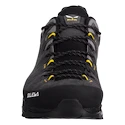 Pánska outdoorová obuv Salewa  ALP Trainer 2 Gtx M Onyx/Black