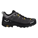 Pánska outdoorová obuv Salewa  ALP Trainer 2 Gtx M Onyx/Black