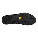Pánska outdoorová obuv Salewa  MS MTN Trainer 2 Gtx Black/Carrot