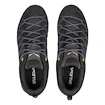 Pánska outdoorová obuv Salewa  MS MTN Trainer Lite Gtx Black/Black