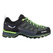 Pánska outdoorová obuv Salewa  MS MTN Trainer Lite Gtx Myrtle/Ombre Blue  UK 9,5