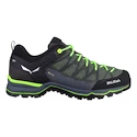 Pánska outdoorová obuv Salewa  MS MTN Trainer Lite Gtx Myrtle/Ombre Blue  UK 9,5
