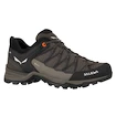 Pánska outdoorová obuv Salewa  MS MTN Trainer Lite Gtx  Wallnut/Fluo Orange
