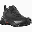 Pánska outdoorová obuv Salomon  CROSS HIKE GTX 2