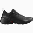 Pánska outdoorová obuv Salomon  CROSS HIKE GTX 2