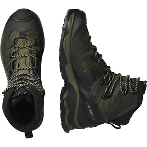 Pánska outdoorová obuv Salomon Quest 4 Gore-Tex Olive Night/Peat/Safari  UK 9