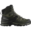 Pánska outdoorová obuv Salomon Quest 4 Gore-Tex Olive Night/Peat/Safari  UK 9