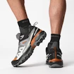 Pánska outdoorová obuv Salomon  X ULTRA 360 GTX Quiet Shade/Black/Spice Route