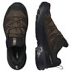 Pánska outdoorová obuv Salomon X Ultra 360 Leather Gore-Tex Dark Earth/Delicioso/Sharkskin