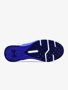 Pánska športová obuv Under Armour