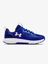 Pánska športová obuv Under Armour