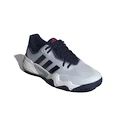 Pánska tenisová obuv adidas Solematch Control 2 Clay Halo Blue