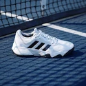 Pánska tenisová obuv adidas Solematch Control 2 Cloud White