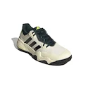 Pánska tenisová obuv adidas Solematch Control 2 White/Silver