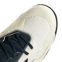 Pánska tenisová obuv adidas Solematch Control 2 White/Silver