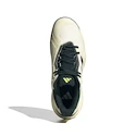 Pánska tenisová obuv adidas Solematch Control 2 White/Silver
