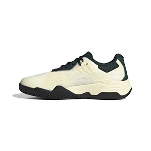 Pánska tenisová obuv adidas Solematch Control 2 White/Silver