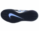 Pánska tenisová obuv Nike Court Air Zoom Vapor Cage 4 Clay Royal Pulse
