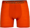 Pánske boxerky Icebreaker  Anatomica Boxers