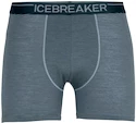 Pánske boxerky Icebreaker  Anatomica Boxers