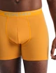 Pánske boxerky Icebreaker  Anatomica Boxers Electric/Praline