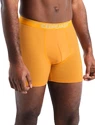 Pánske boxerky Icebreaker  Anatomica Boxers Electric/Praline