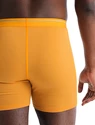 Pánske boxerky Icebreaker  Anatomica Boxers Electric/Praline