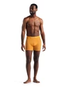 Pánske boxerky Icebreaker  Anatomica Boxers Electric/Praline