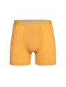 Pánske boxerky Icebreaker  Anatomica Boxers Electric/Praline