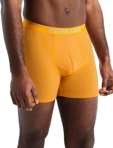 Pánske boxerky Icebreaker  Anatomica Boxers Electric/Praline