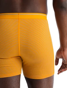 Pánske boxerky Icebreaker  Anatomica Boxers Electric/Praline
