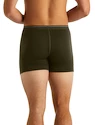 Pánske boxerky Icebreaker  Anatomica Boxers LODEN