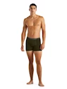 Pánske boxerky Icebreaker  Anatomica Boxers LODEN
