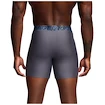 Pánske boxerky Under Armour Perf Tech 6in Grey